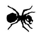 ant logo.jpg, 3.1 Кб, 160 x 160